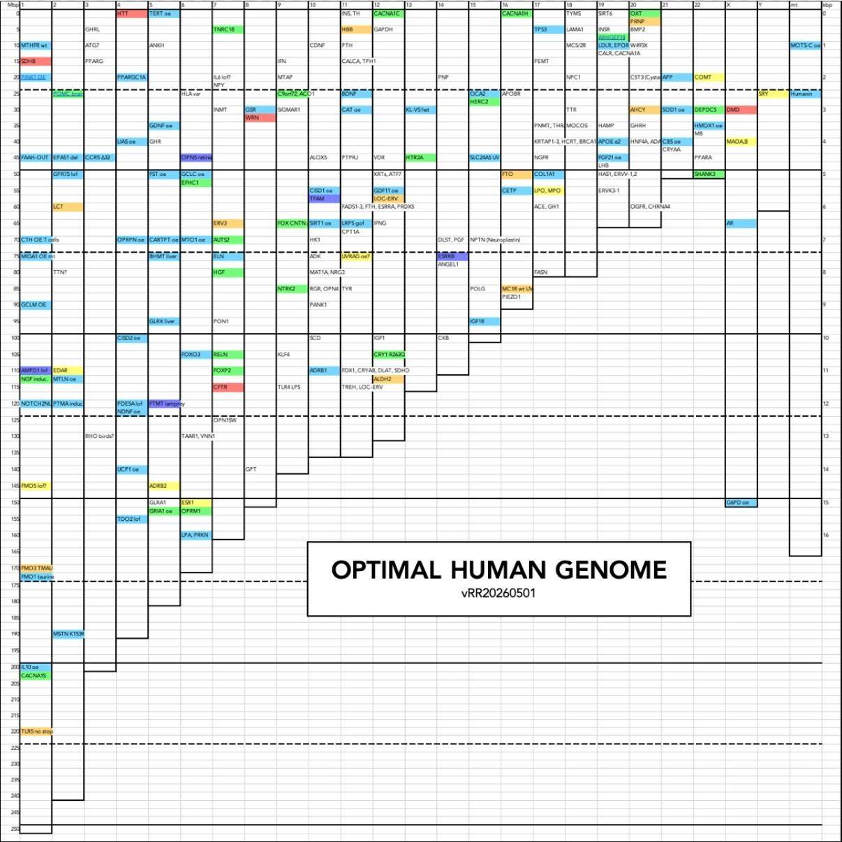 Optimal Human Genome chart
